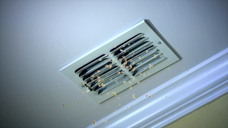 Best Ventilation Cleaning Services  in Fowler, MI