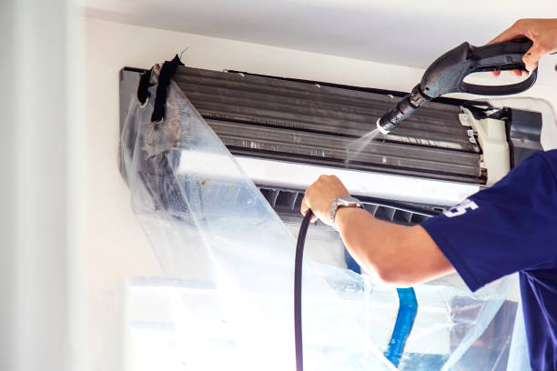 Best Professional Duct Cleaning Services  in Fowler, MI